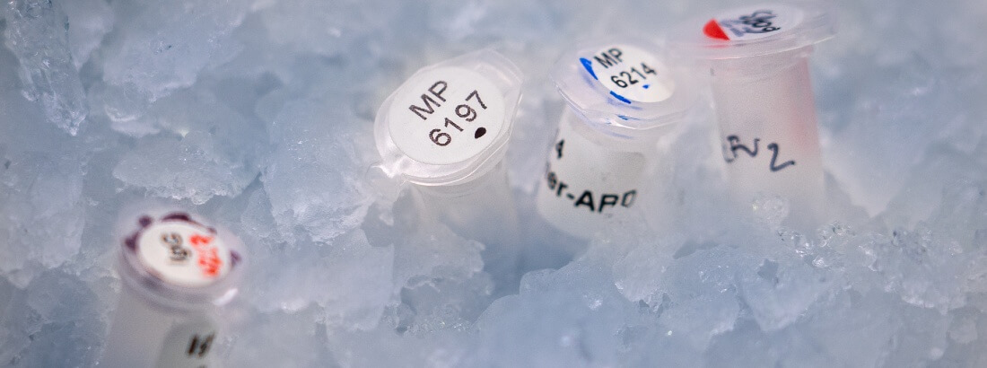 Multiple labeled vials containing vaccine samples or research materials, partially submerged in crushed ice, to ensure cool storage in a laboratory setting